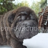 20091008_RD_Kando4a