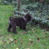 GartenarbeitKuertisa_200910