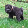 Kando4a_20091026