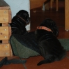 OpasBettKimi1a_20091028
