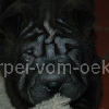 Kaija2a_20091104