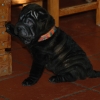 Kando2a_20091104