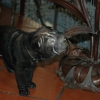 Keshia1a_20091104