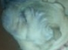 2013-01-18a-07-50-20