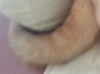 2013-01-23a-14-58-01