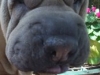 dscf2951a