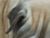 dscf2953a
