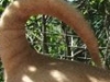 dscf2958a