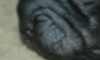 re6a