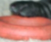 mayla1a