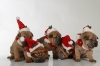 shar-pei-erin-alle-weihnachten-2010_600x400