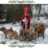 weihnachten_2009
