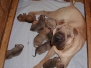xenia_10022003