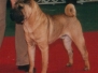 xenia_12092005